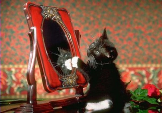 №24, Ранэль Гимадеев, Казань, Россия №24, Ранэль Гимадеев, Казань, Россия