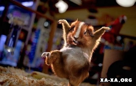 №3, Ранэль Гимадеев, Казань, Россия №3, Ранэль Гимадеев, Казань, Россия