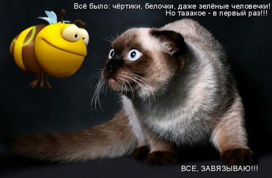 №1, Roma Minakov, Покровск / Красноармейск №1, Roma Minakov, Покровск / Красноармейск