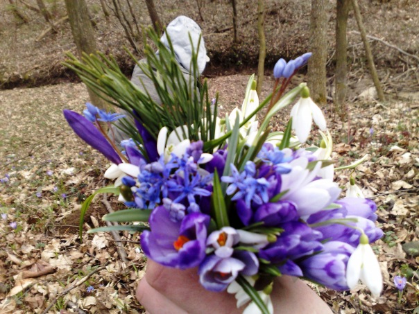 №12, Марінка Бабюк №12, Марінка Бабюк