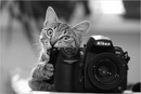 Фотография Скриянтова Дмитрия