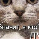 №16, Серый Сид, 32 года, Скадовск №16, Серый Сид, 32 года, Скадовск