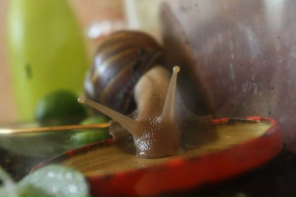 №12, Анна Пуртова, Тюмень №12, Анна Пуртова, Тюмень