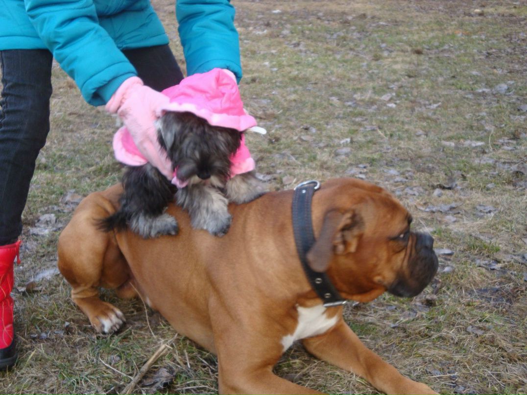 Наталья Шугарова\Олейник | Донецк