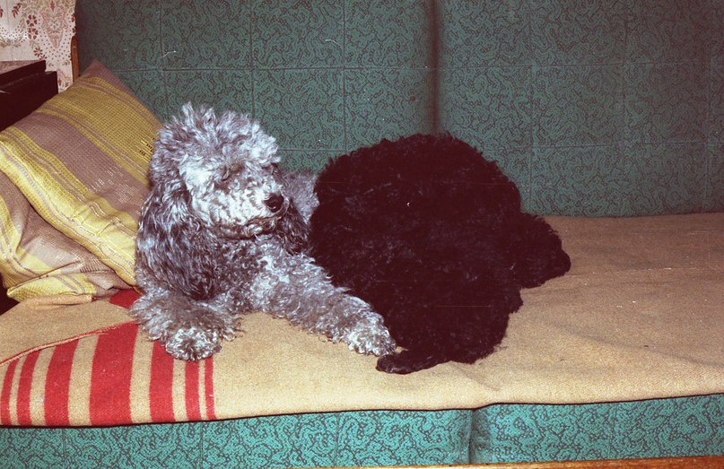 Лидия Серкова владимировна | Санкт-Петербург