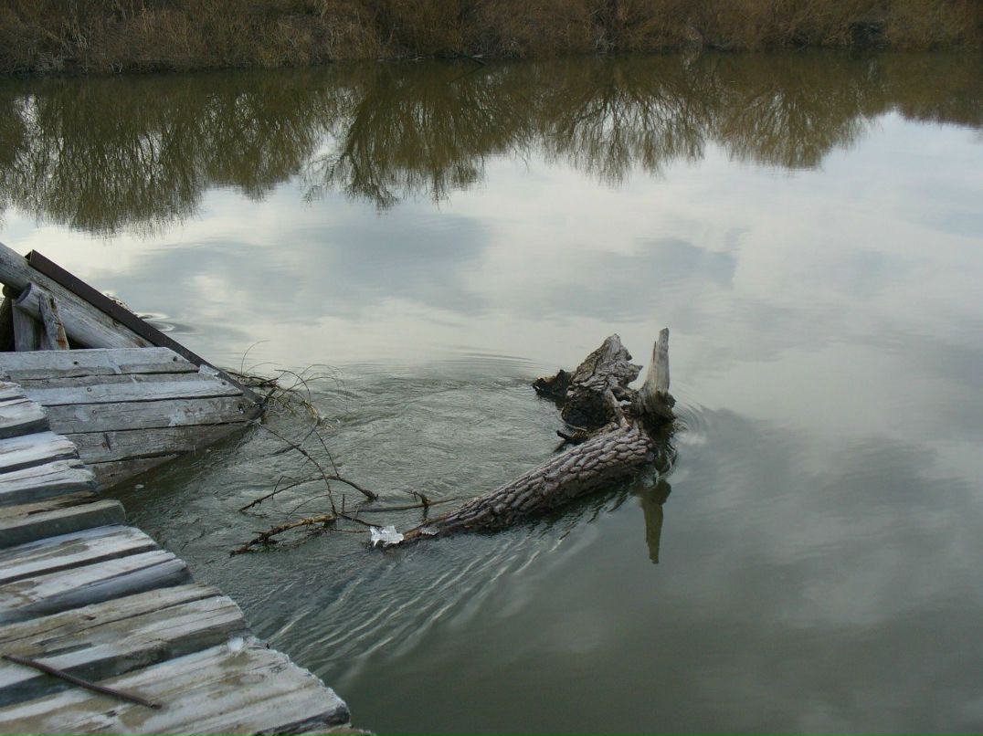 Ирина Рыжая | Курган