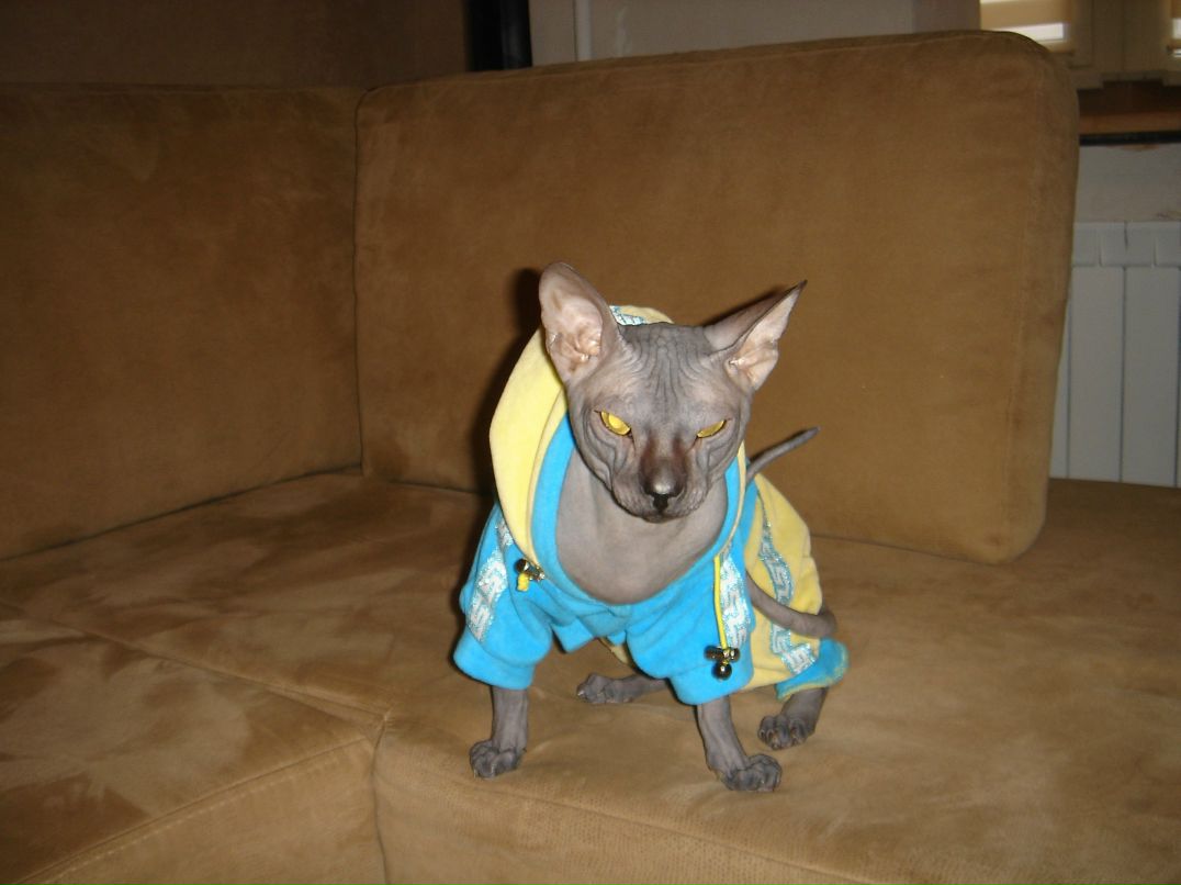 Таня Зинченко | Киев