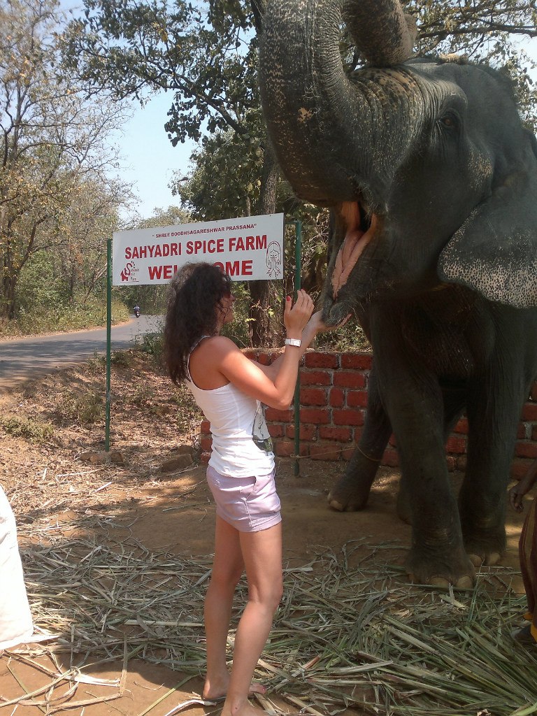 Ирина Гребнева | Пермь