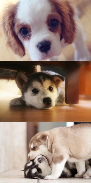 №141, Ирина Богачук №141, Ирина Богачук