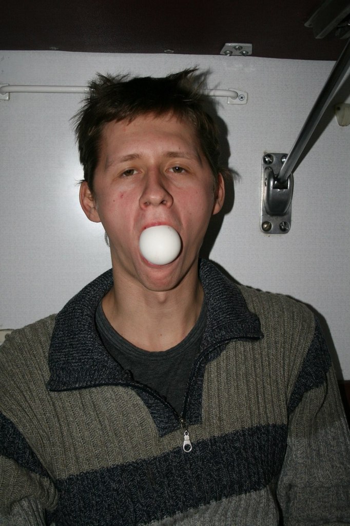 Василий Устюжанин Слон | Брест