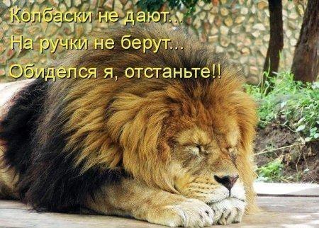 Дина Сапожникова | 