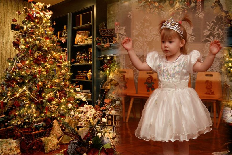 Сергей Анисимов | Санкт-Петербург