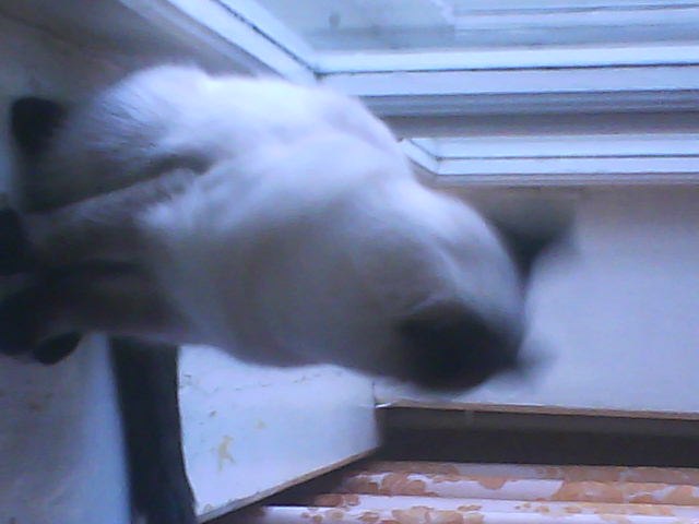 Мария Ткачёва | Казань