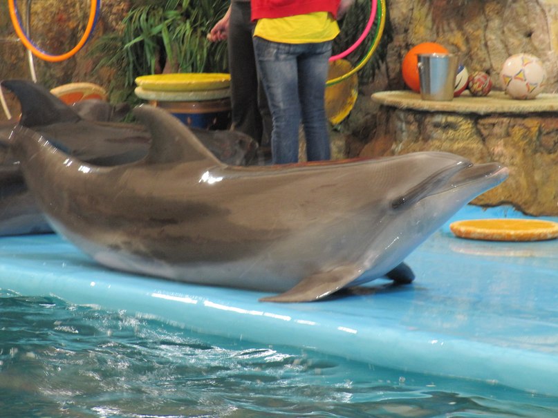 Ольга Соколенко | Wieliczka