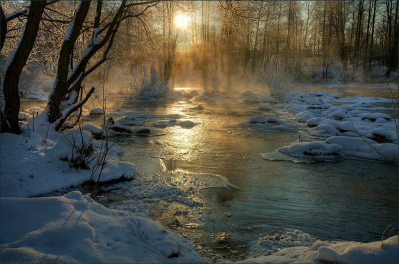 Алексей Козлов | Москва