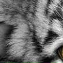 Юлия Честнова ◕⏝⏝◕ | Киев