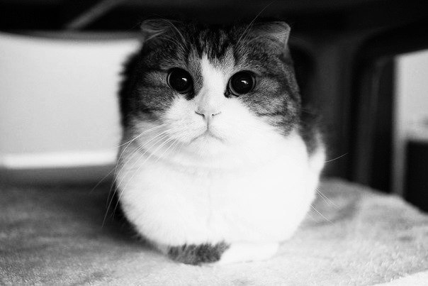 Valentina Kravchenko | 