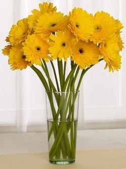 №5, Нелля Ядовитая, 35 лет, Москва №5, Нелля Ядовитая, 35 лет, Москва