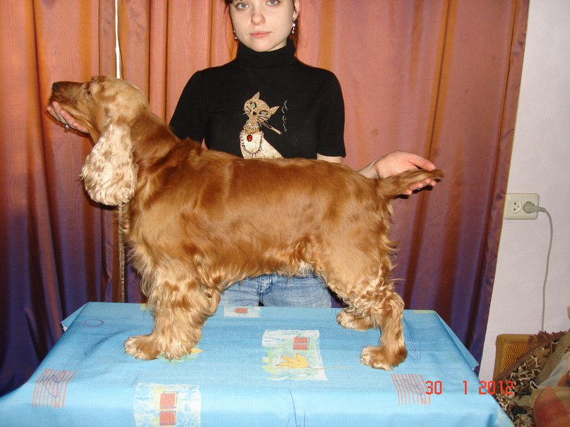 Татьяна Баранова | Киев