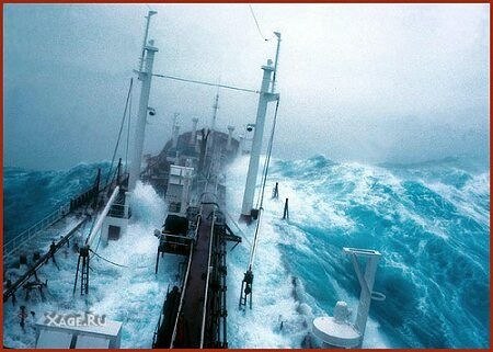 Лариса Силаева | Калининград