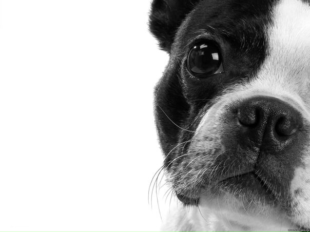 №117, Оксана Томберг, Санкт-Петербург №117, Оксана Томберг, Санкт-Петербург