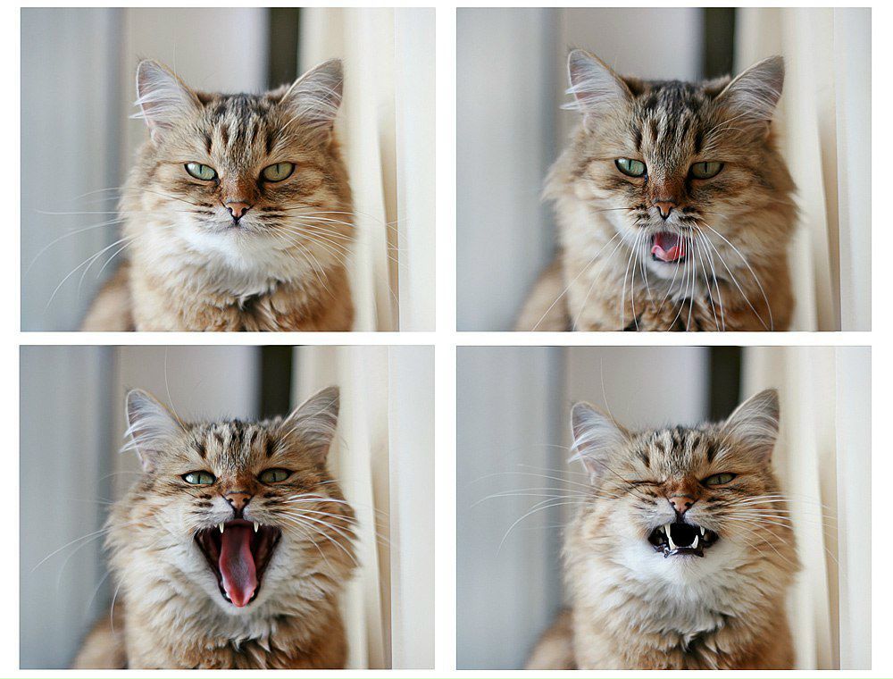 Юлия Изотова | 