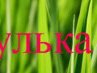 Светлана Романова | Saarlouis