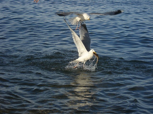 Наталья Харахинова | Иркутск