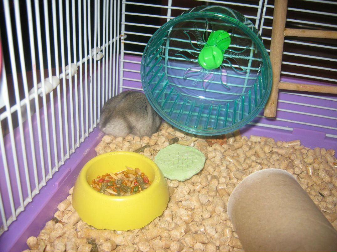 Ольга Печенко | Санкт-Петербург