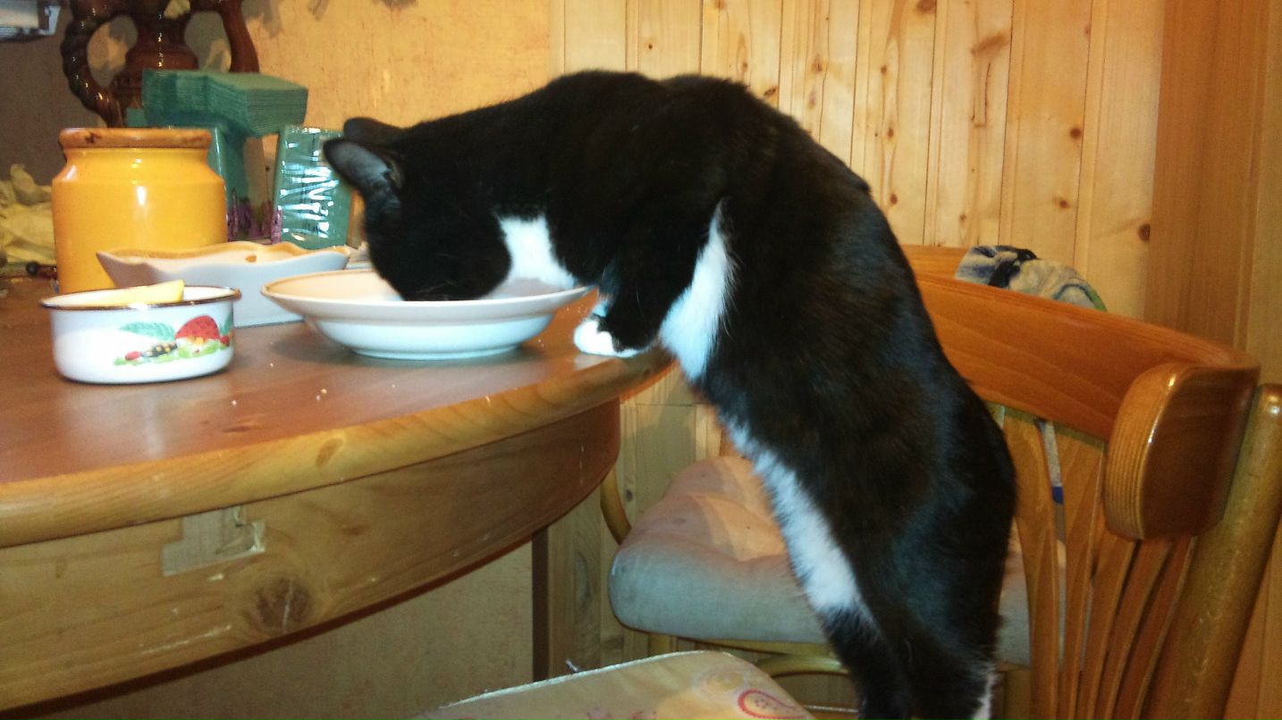 Ольга Рыжих | 