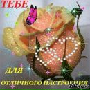 Фотография Сергей Сурсин