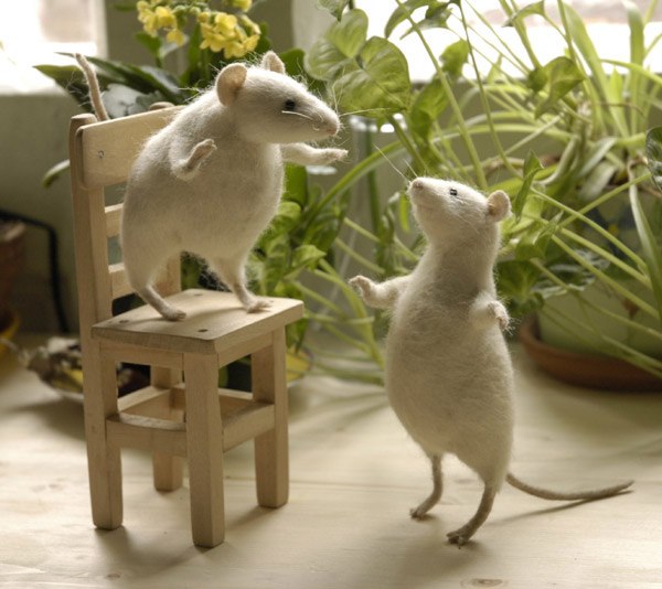 №59, Татьяна Голан №59, Татьяна Голан