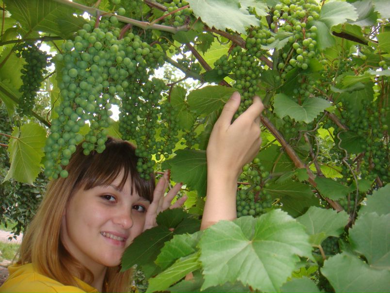 №2, Алёнка Журавская, 34 года, Житомир №2, Алёнка Журавская, 34 года, Житомир