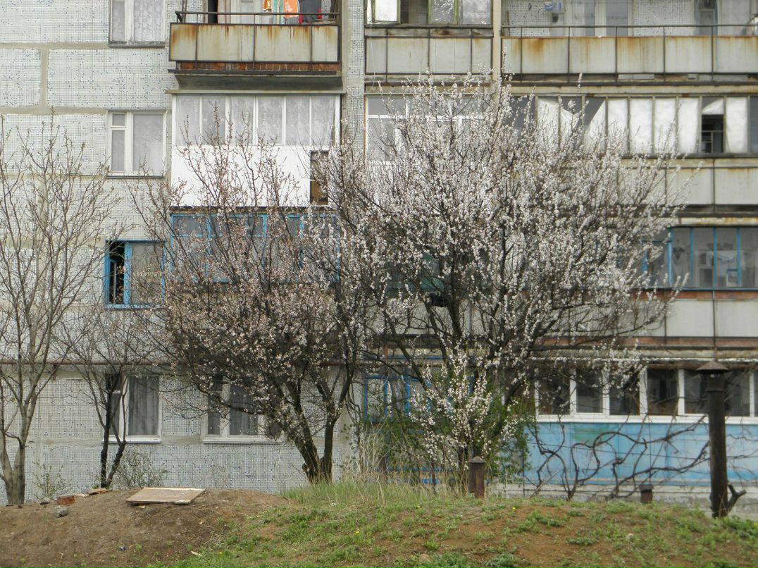 Артур Вовк | Донецк