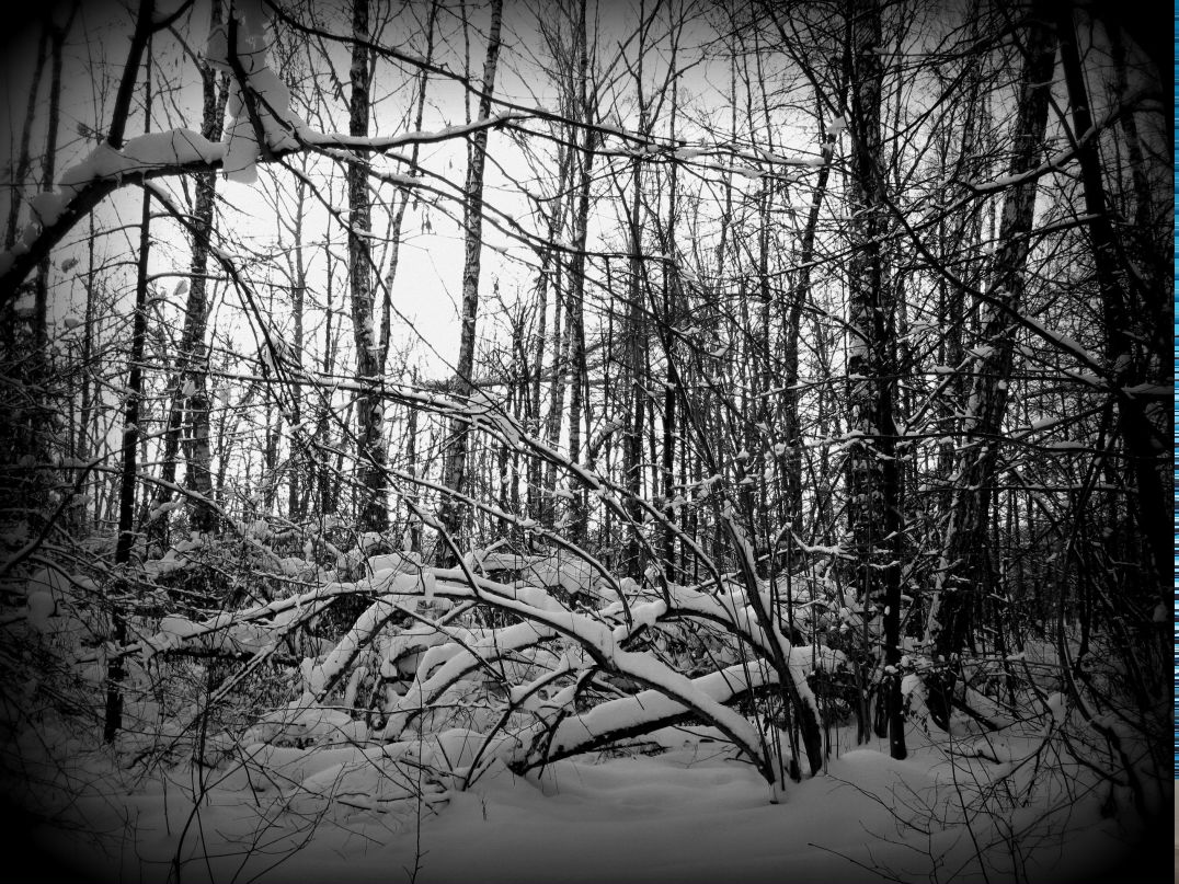 Ольга Громова | Москва