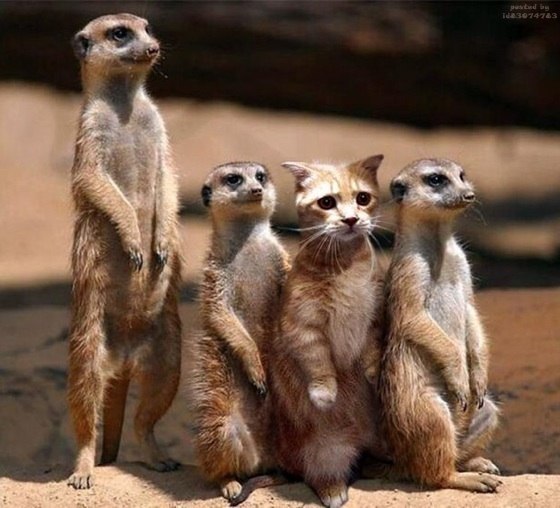 Серёжа Максимов | Одесса