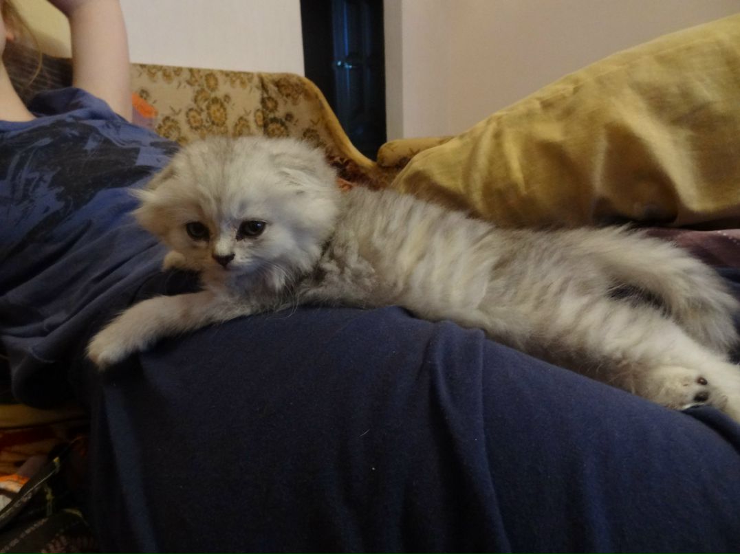 Ваня Лазукин [+_+] | Ростов-на-Дону