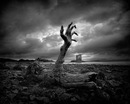 Фотография Свиридова Кирилла