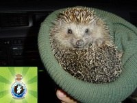 Людочка Смирнова | Миасс