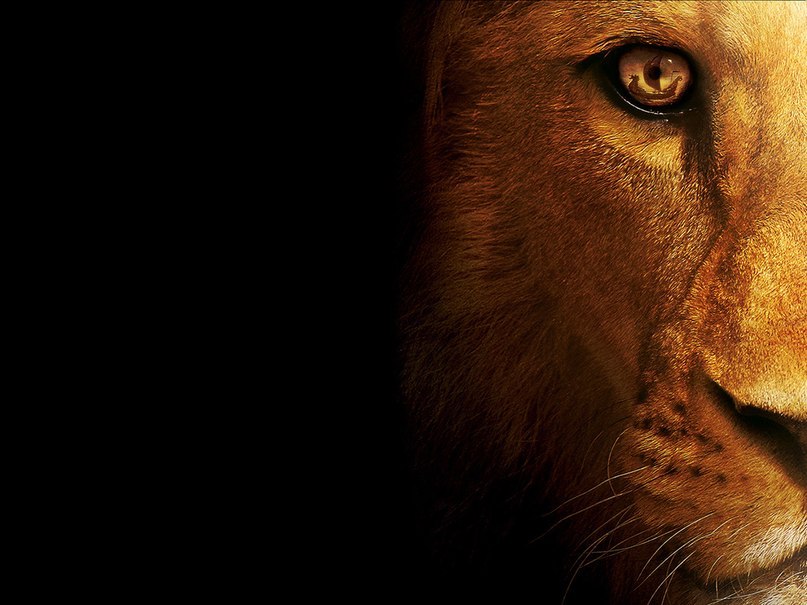 Леонид Петриченко | Южноукраинск