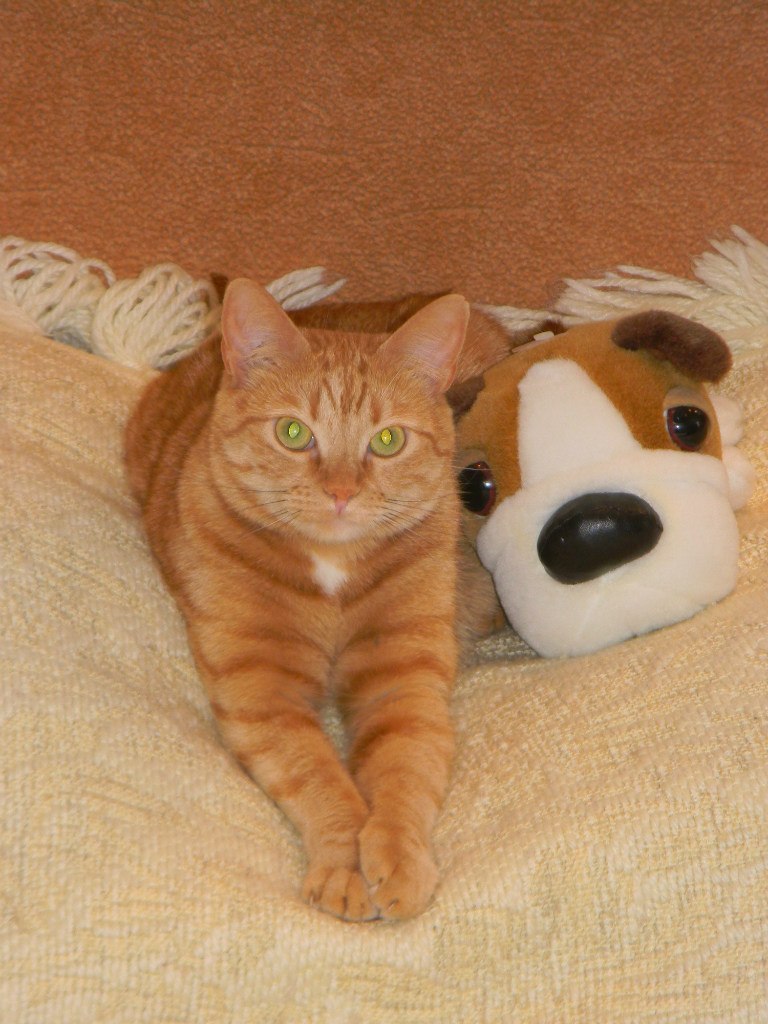 Даша Сабинина | Сосновый Бор