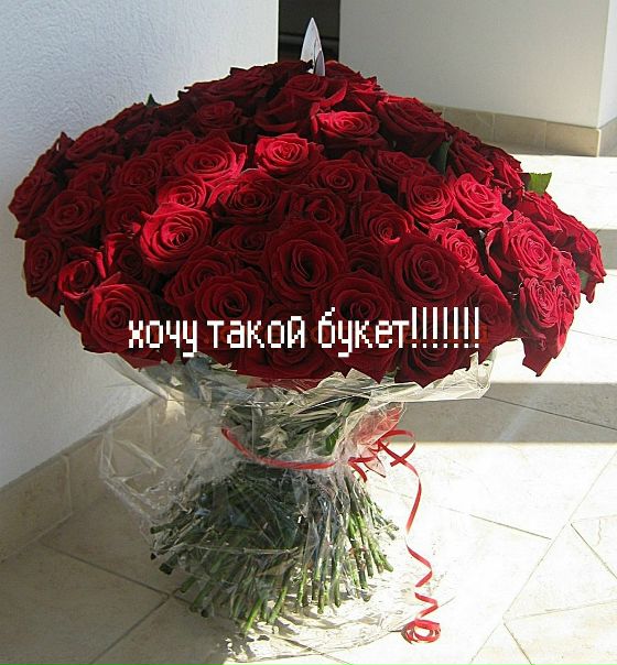 №19, Мария Салий №19, Мария Салий