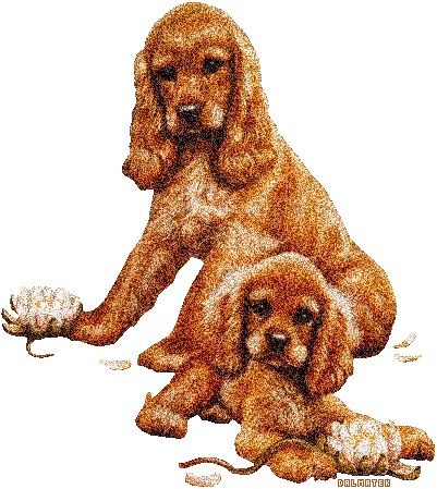 Dimon Ivanoff | Санкт-Петербург