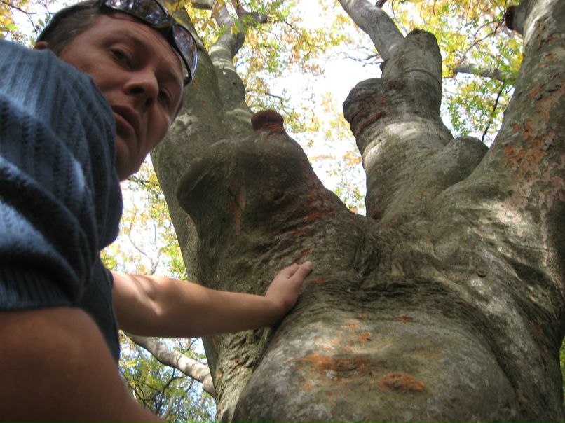 Дмитрий Чухриенко | Днепр (Днепропетровск)