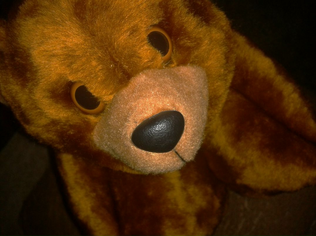 Михаил Комаров | Москва