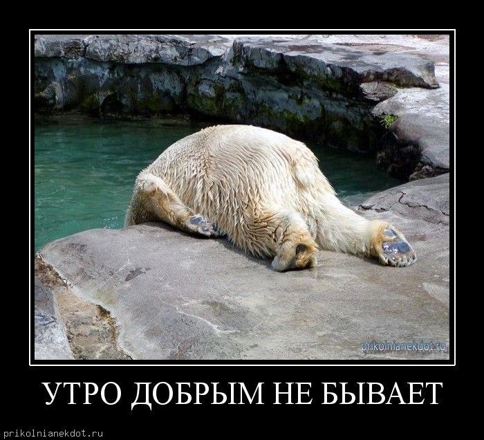 Олександр Медведчук | Киев