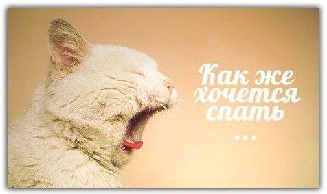 Полина Кот | Новосибирск