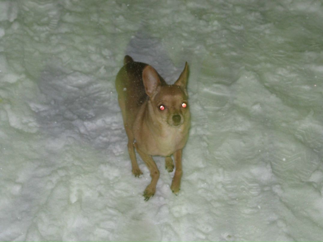 Наталья Загуляева | 