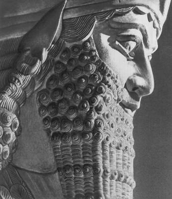 Дмитро Кривцун | Киев