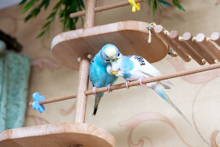 Галина Масалыкина | Оренбург